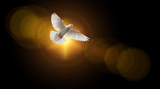 Quem é o Espírito Santo pra você - Conselheiro Cristão