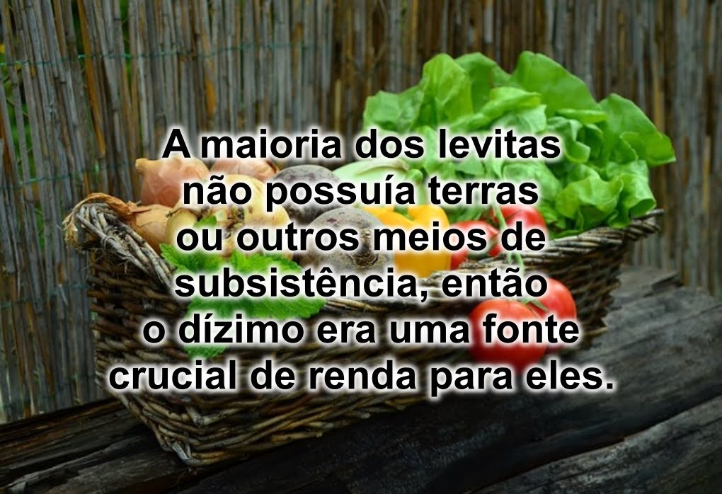 Como Era Distribuído o Dízimo Entre os Levitas. Imagem de um cesto com verduras.