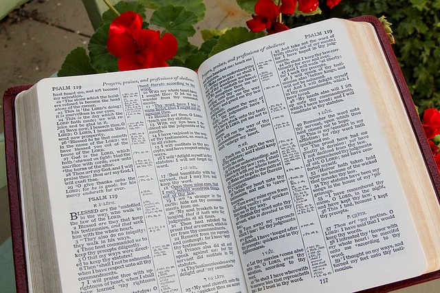 Versículos Para os Jovens - Imagem de Bíblia Sagrada - Site Conselheiro Cristao