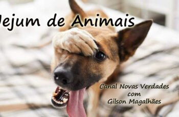 Jejum de Animais?