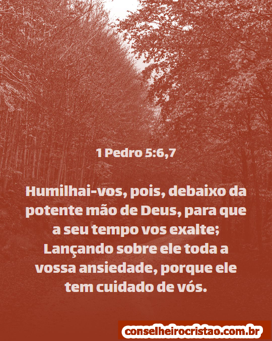 Mensagem Para a Vida - Passagem retirada da carta do apostolo Pedro. 