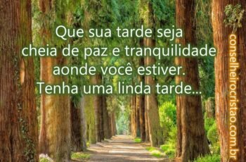 Mensagens de Boa Tarde