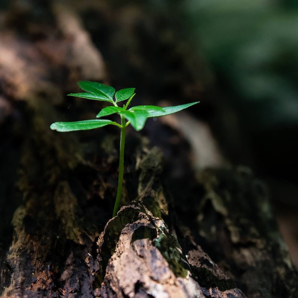 Oração de Gratidão Pelo Ano Que Passou. Ore e agradeça todos os dias, todos os anos. 
Faça dessa oração de gratidão a sua oração hoje.