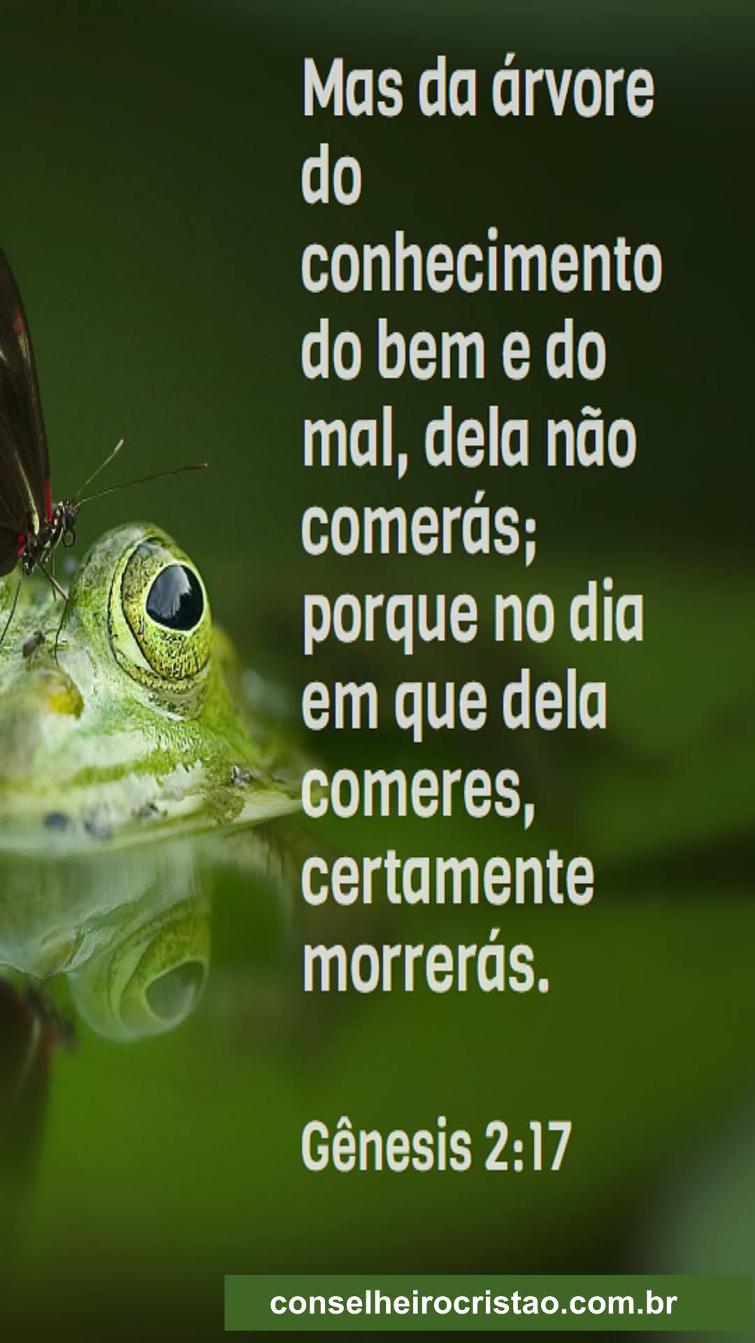 Imagem para compartilhar no Status do Facebook e Instagram no artigo Palavra Bíblica do Dia 13-01-2023. 
Site conselheirocristao.com.br