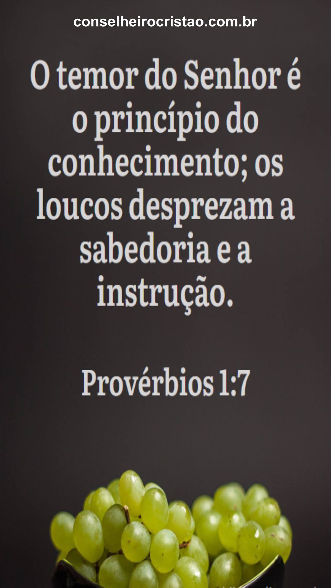 A Importância do Temor a Deus na Palavra Bíblica do Dia 13-03-2023.
O temor a Deus é o princípio da sabedoria.
conselheirocristao.com.br