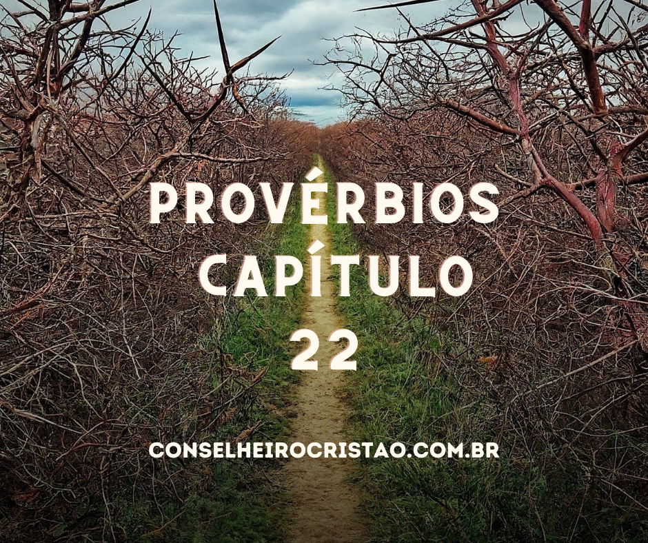Provérbios Capítulo 22