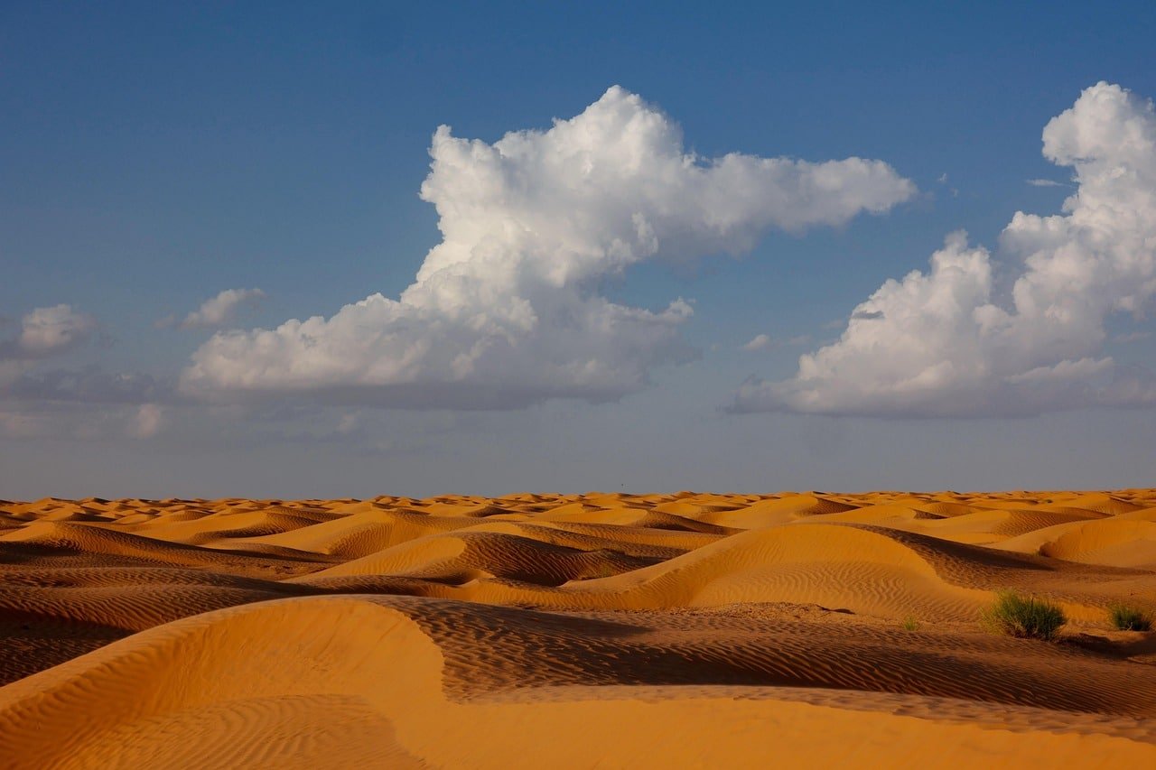 Ansiedade e PreocupaÃ§Ã£o - ilustraÃ§Ã£o de MoisÃ©s em contemplaÃ§Ã£o no deserto