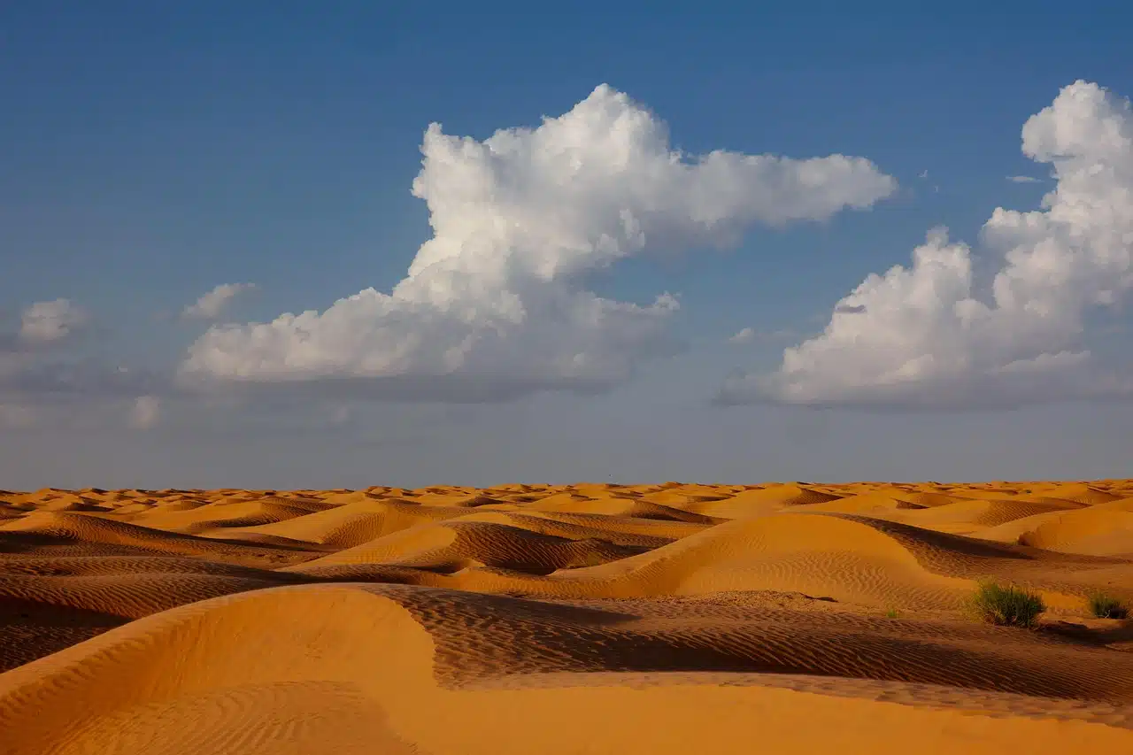 Ansiedade e PreocupaÃ§Ã£o - ilustraÃ§Ã£o de MoisÃ©s em contemplaÃ§Ã£o no deserto