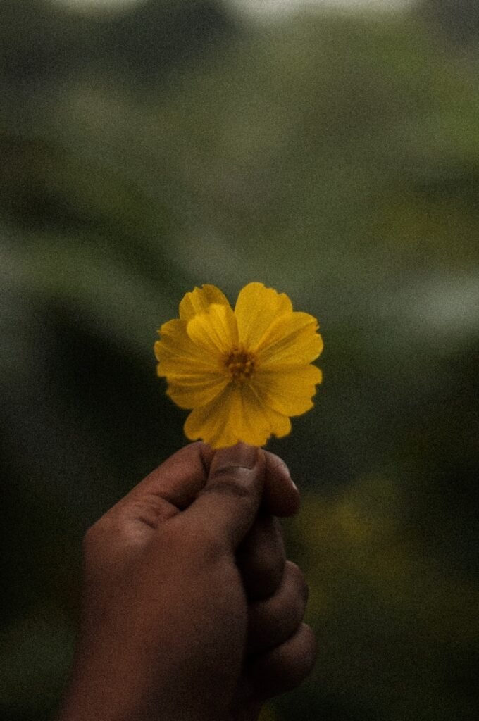 a person holding a yellow flower in their hand