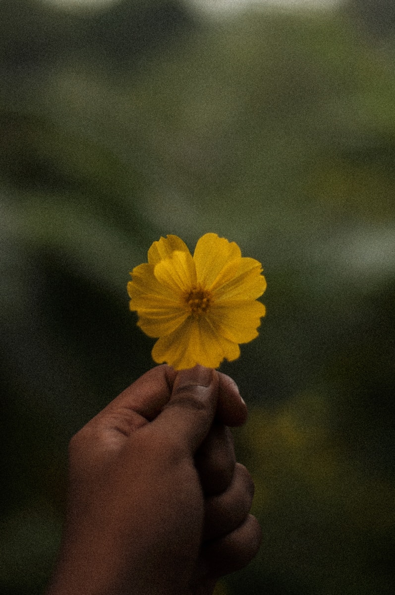 Impactando com Fé: Sal e Luz no Trabalho