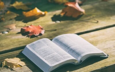 Como a Gratidão Pode Transformar Sua Vida Espiritual