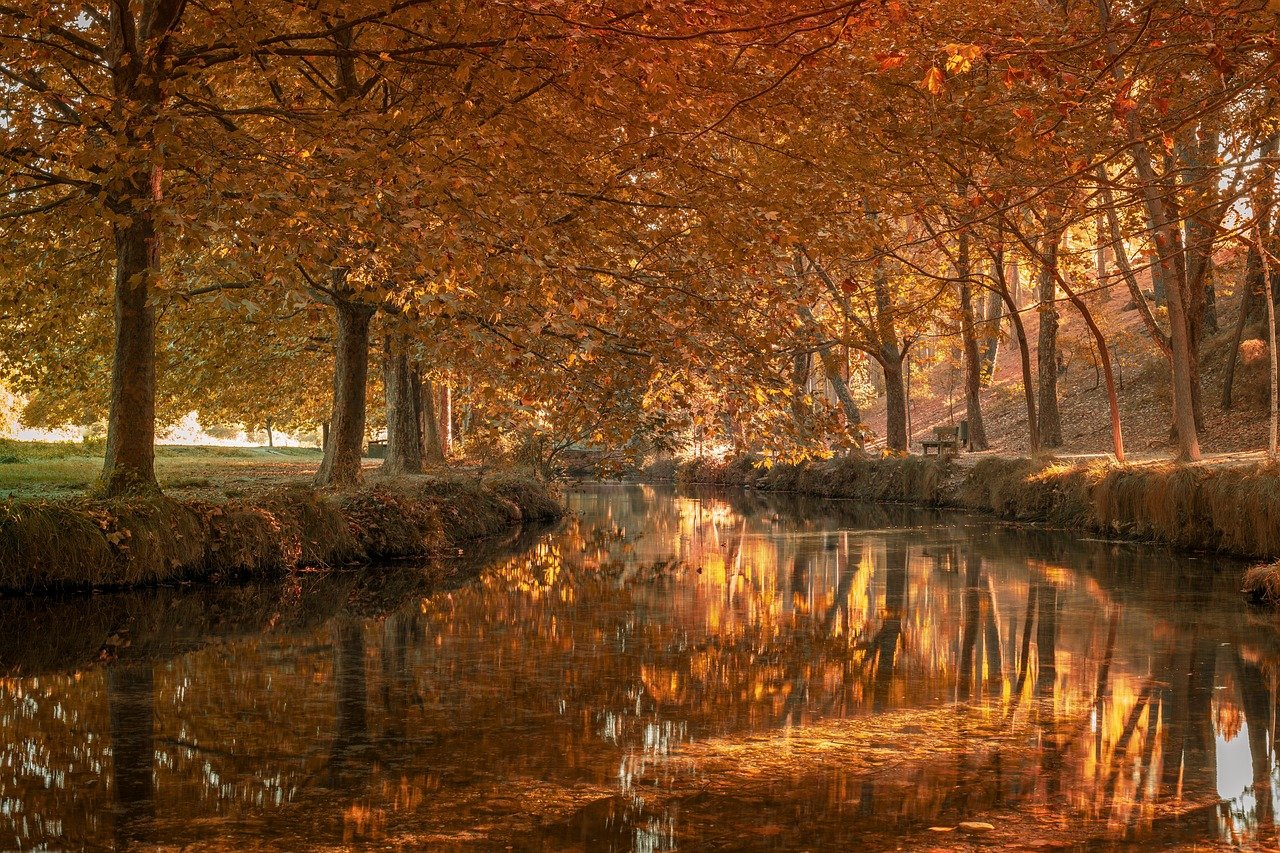 9 Promessas Bíblicas para Reacender Sua Esperança